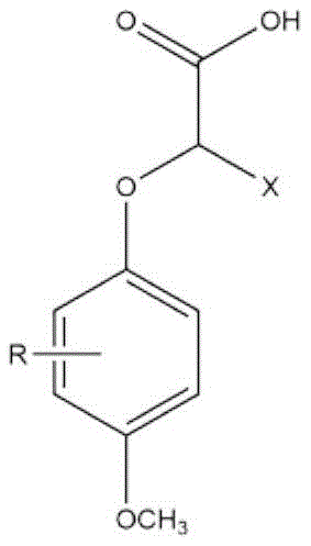 General chemical structure of 2-(4-methoxyphenoxy)propionic acid derivatives showing variable R and X groups