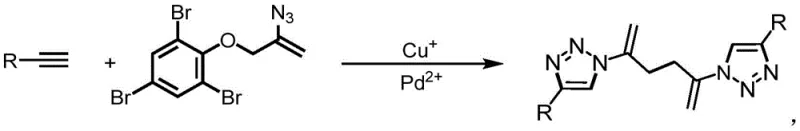 General reaction scheme showing the one-pot bimetallic coupling of terminal alkynes and aryl azides to form symmetrical 1,2,3-triazole derivatives