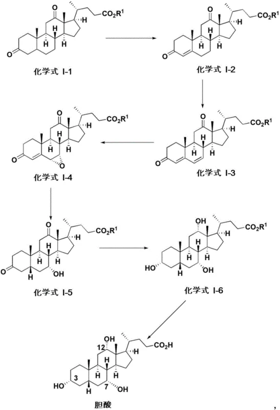 General reaction scheme for synthesizing cholic acid from 3,12-dioxysteroids showing key transformation steps