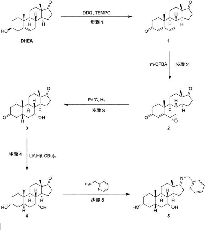 Example 1 synthetic route overview from DHEA to Cholic Acid showing 13 distinct steps