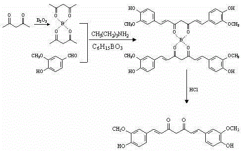 Detailed reaction mechanism of Curcumin synthesis via Boron oxide complex and Vanillin