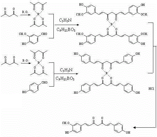 Synthesis pathways for Curcumin, Demethoxycurcumin, and Bis-demethoxycurcumin showing versatile aldehyde inputs