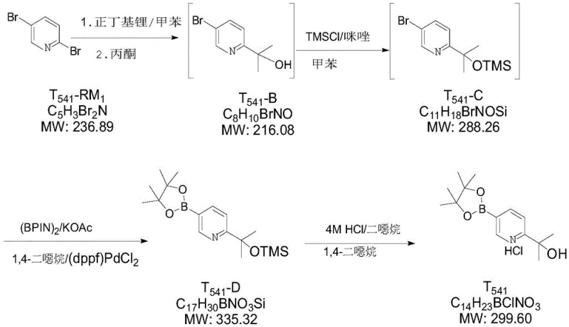 Pd-catalyzed borylation mechanism converting T541-C to T541-D