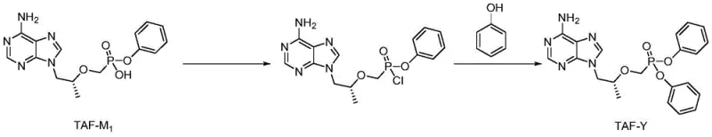 Reaction scheme showing the conversion of TAF-M1 to TAF-Y via chlorination and solvent-free esterification