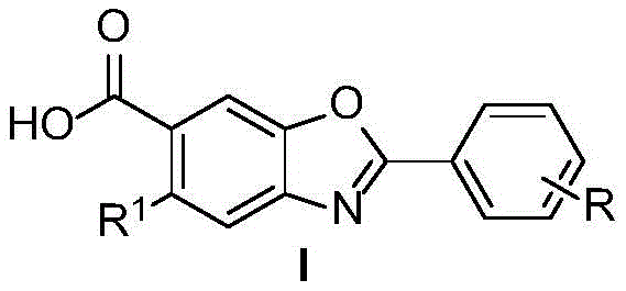 General structural formula of novel Tafamidis derivatives showing variable substituents R and R1