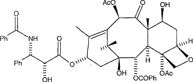 Chemical structure of Paclitaxel showing the complex taxane core and C-13 side chain