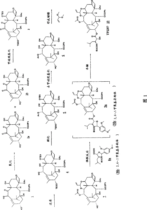 Overall synthetic scheme for TPI287 showing the convergent coupling of side chain and taxane core