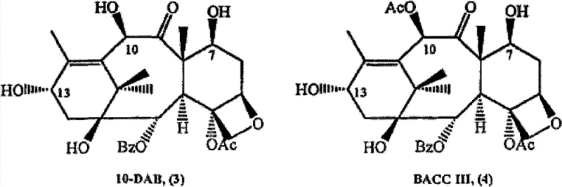 Structures of key precursors 10-DAB and Baccatine III used in semi-synthesis
