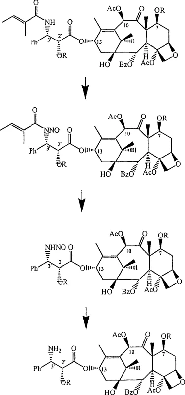 Reaction sequence converting cephalomannine to primary amine taxane intermediate via nitrosylation and reduction