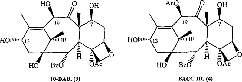 Structures of 10-DAB and Baccatin III starting materials used in semi-synthesis