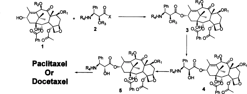 Overall reaction scheme showing the semi-synthesis pathway from 10-DAB to Taxol and Docetaxel