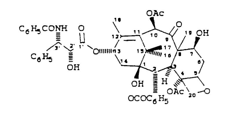 Chemical structure of Taxol showing the complex taxane nucleus and C13 side chain