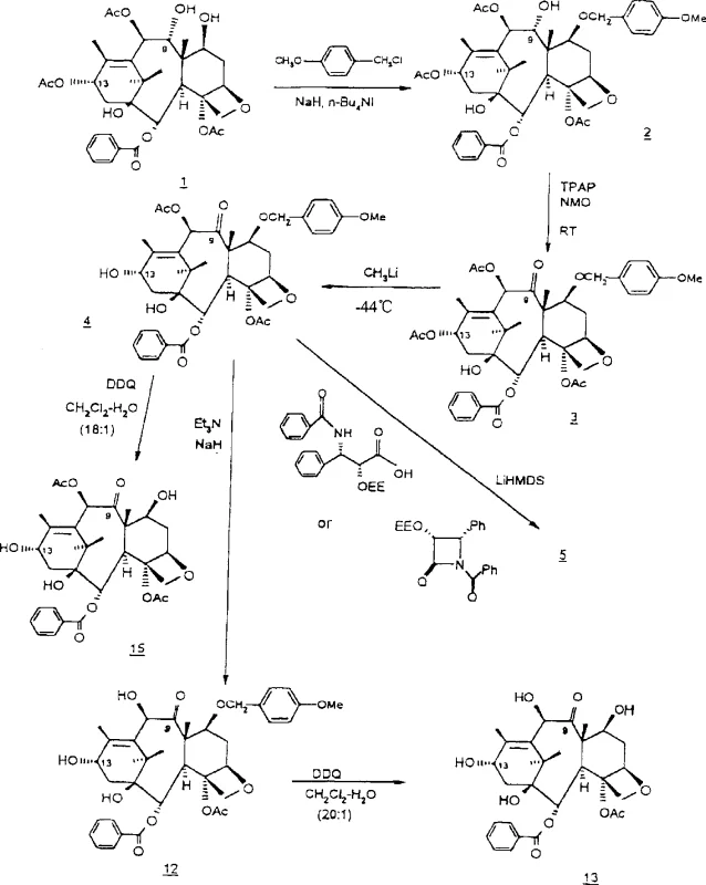 Synthetic Route 1 showing the conversion of 9-dihydro-13-acetylbaccatin III to Taxol derivatives via protection and oxidation steps