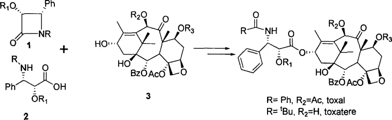 General scheme showing the semi-synthetic connection of Taxol side chain to 10-deacetylbaccatin III