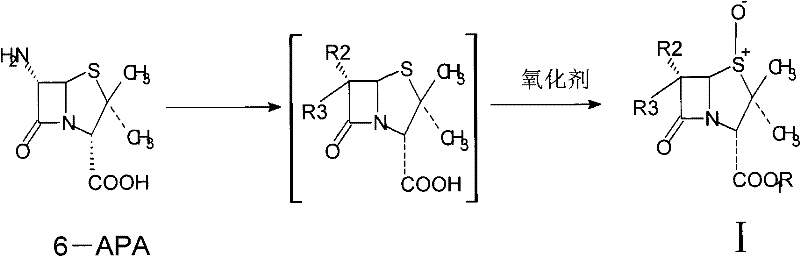 Reaction scheme showing the catalytic oxidation of 6-APA to Penicillanic Acid Sulfoxide Intermediate I using a tungstate catalyst and hydrogen peroxide