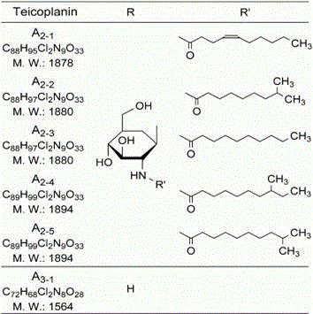 Table detailing the molecular weight and side chain structures of Teicoplanin components A2-1 to A3-1