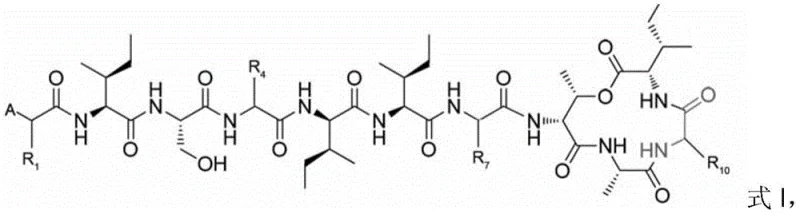 General chemical structure Formula I of Teixobactin analogs