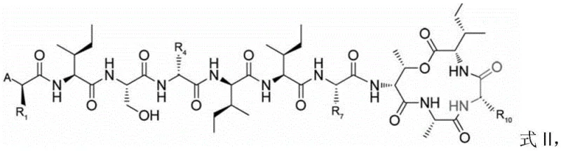 General chemical structure Formula II of Teixobactin analogs