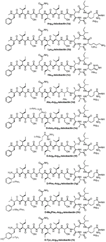 Structural formulas of specific Teixobactin analogs 1a-1i synthesized via the novel method