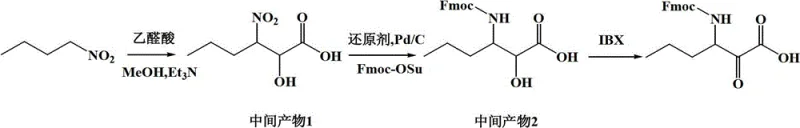 Synthesis route of the key intermediate Fmoc-P-OH from 1-nitrobutane