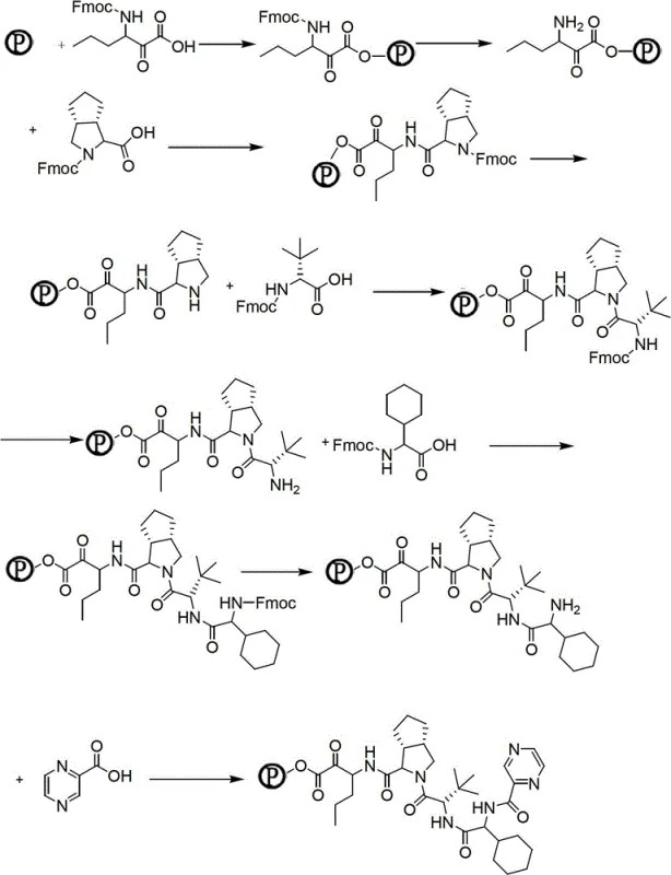 General scheme of Fmoc solid phase peptide synthesis coupling on resin