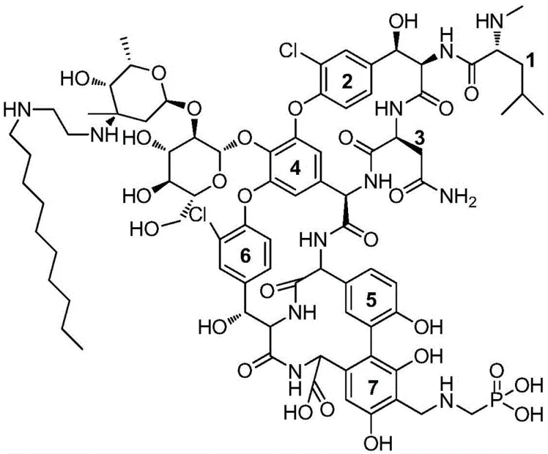 Chemical structure of Telavancin highlighting the hydrophobic side chain and numbered rings for steric analysis