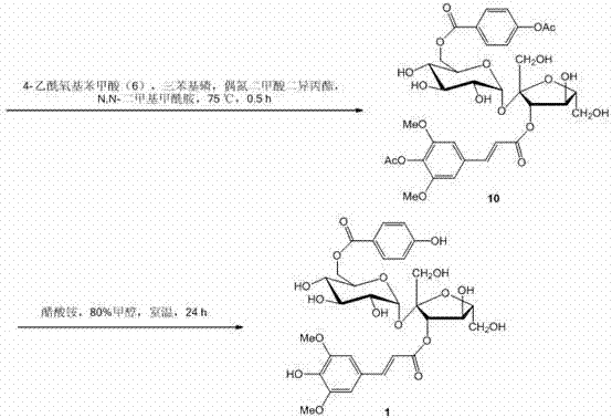 Final coupling steps involving sucrose esterification, Mitsunobu reaction, and deprotection to form Tenuifoliside B