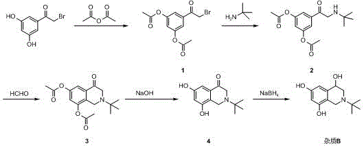 Complete 5-step synthetic route for Terbutaline Sulfate Impurity B showing esterification, substitution, cyclization, hydrolysis, and reduction