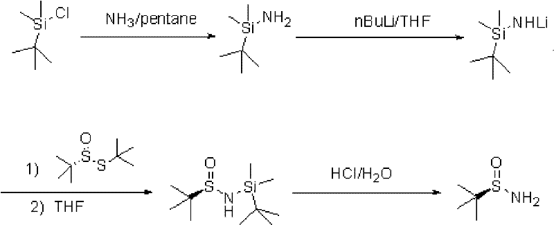Novel silane-protected synthesis route for tert-butylsulfinamide showing mild conditions