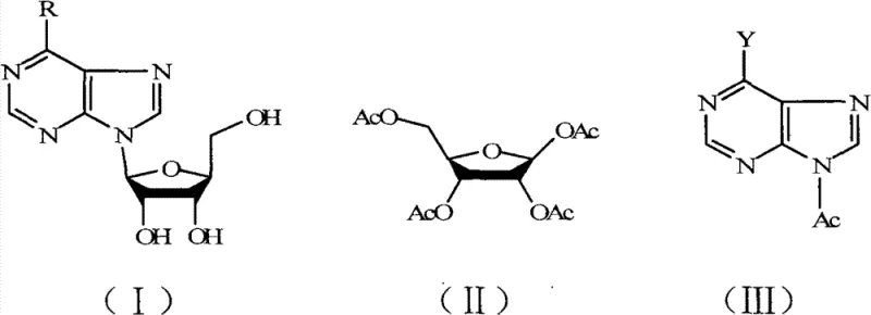General reaction scheme showing the catalytic cracking of nucleoside compounds (I) into tetraacetyl ribose (II) and acetylated purines (III)