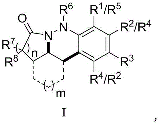 General structural formula of 1,2,3,4-tetrahydrocinnoline skeleton compounds showing variable substituent positions R1 through R8
