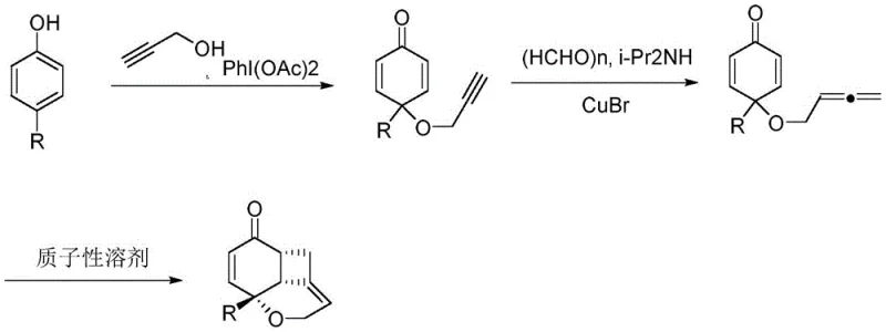 Reaction scheme showing the three-step synthesis from phenol to fused coumarin via spiro-dienone and allene intermediates