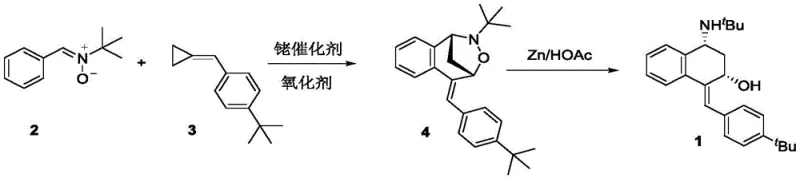 Reaction scheme showing Rh-catalyzed addition of nitrone and methylene cyclopropane to form bridged oxazolidine, followed by Zn/HOAc reduction to tetrahydronaphthalene derivative