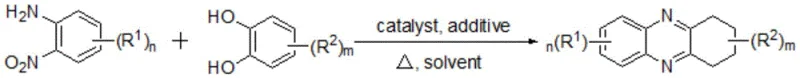 Chemical structure of diphenol compound general formula 2