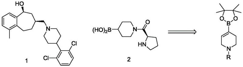 Target drug molecules containing tetrahydropyridine scaffolds and the general boronate structure