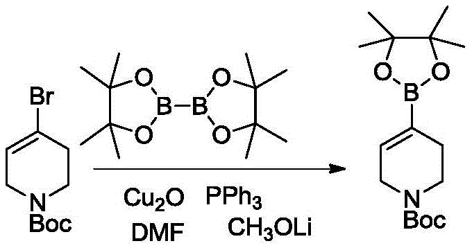 Reaction scheme showing copper-catalyzed borylation of N-Boc-tetrahydropyridine bromide
