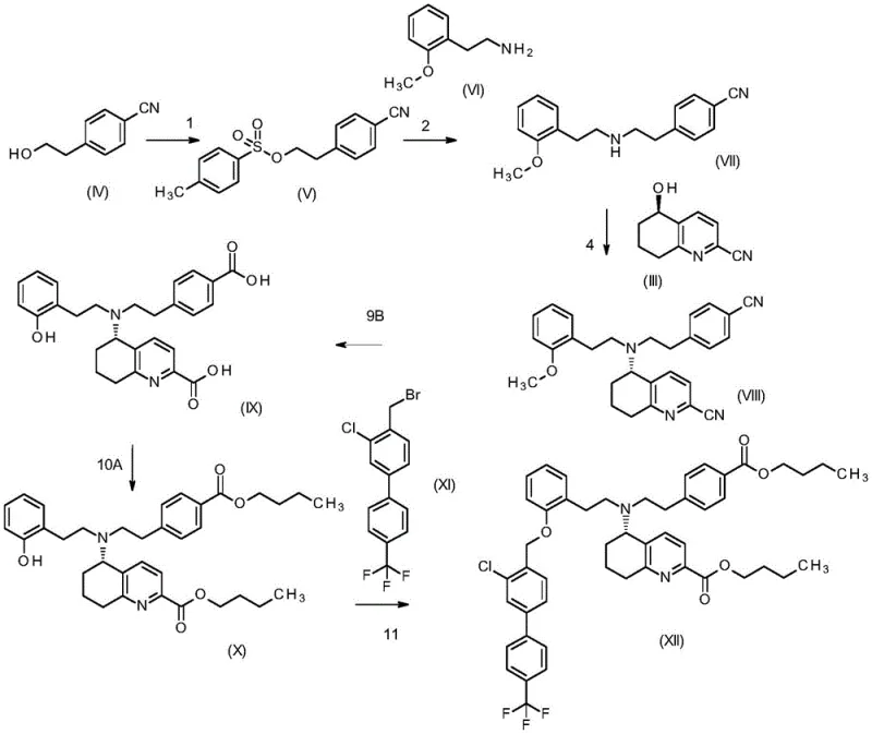 Overall synthetic Scheme 2 showing the multi-step pathway to the target intermediate