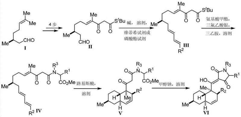 General synthetic route showing the transformation from citronellal to the final tetramic acid derivative via Diels-Alder cyclization