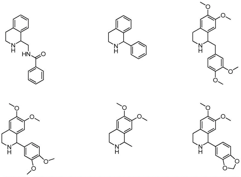 Structures of prior art tetrahydroisoquinoline compounds showing structural differences from the target intermediates