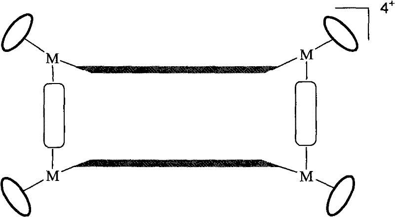 General chemical structure of the tetranuclear rectangular macrocyclic cation showing the four metal centers bridged by oxamide and pyridine ligands