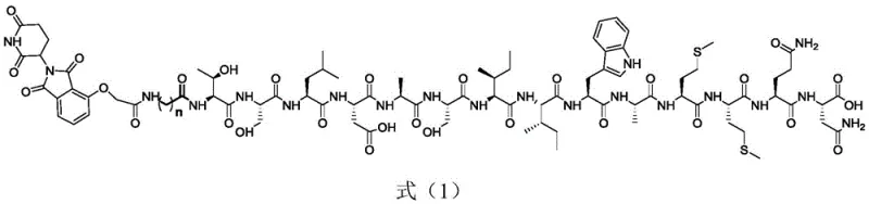 General chemical structure of TGF-beta1 targeted degradation compounds showing the thalidomide warhead, peptide binder, and alkyl linker