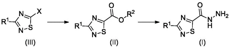 General synthetic route showing conversion of halogenated intermediate (III) to ester (II) and finally to carbohydrazide (I)