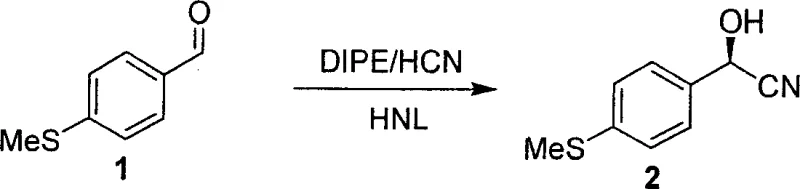Enzymatic hydrocyanation mechanism using HNL