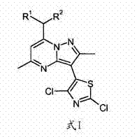 Chemical structure of Formula I intermediate showing the thiazolyl-pyrazolopyrimidine core