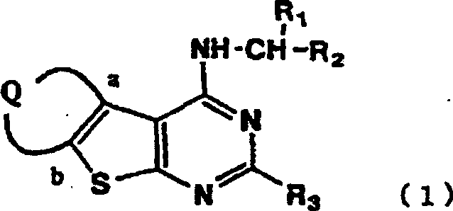 General formula of thieno[2,3-d]pyrimidine compounds showing variable substituents Q, R1, R2, and R3