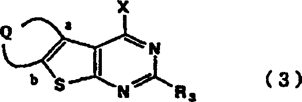 Core synthetic route showing halogenation with POCl3 followed by amine substitution