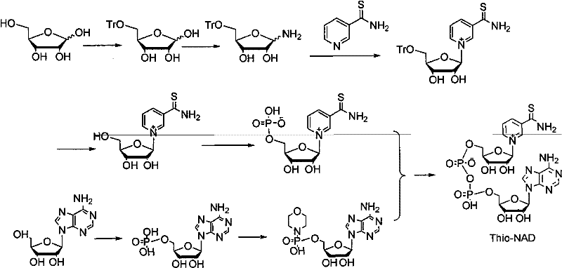 Full chemical synthetic route for Thio-NAD showing convergent strategy from D-ribose and adenosine