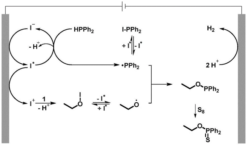 Detailed catalytic cycle mechanism showing iodine radical mediation and radical cross-coupling steps