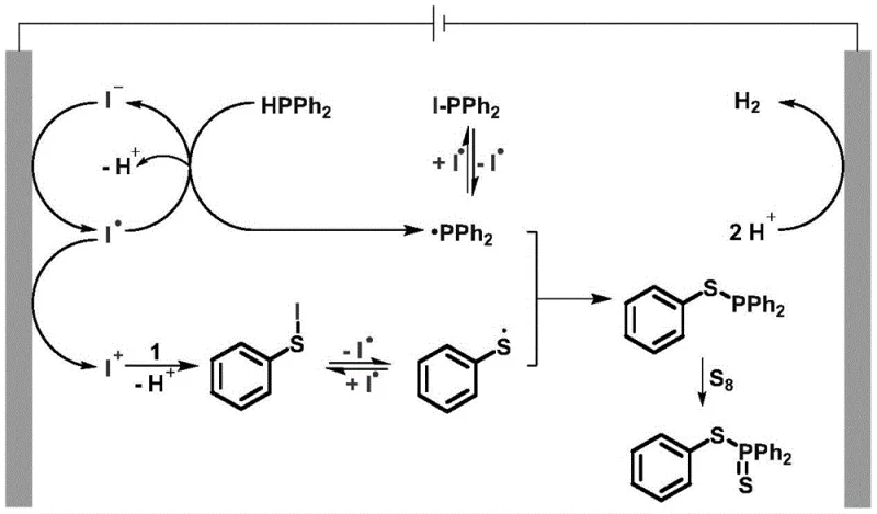 Detailed catalytic cycle mechanism showing anodic oxidation of iodide and radical cross-coupling steps