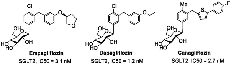 Structures of marketed SGLT2 inhibitors Empagliflozin, Dapagliflozin, and Canagliflozin serving as templates for the new analogs